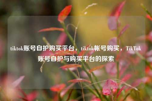 tiktok账号自护购买平台，tiktok帐号购买，TikTok账号自护与购买平台的探索