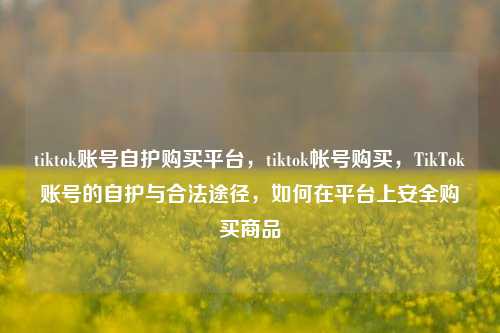 tiktok账号自护购买平台，tiktok帐号购买，TikTok账号的自护与合法途径，如何在平台上安全购买商品