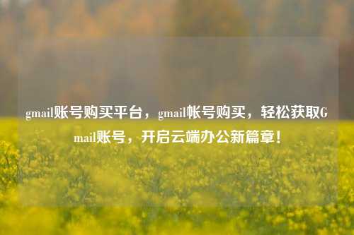 gmail账号购买平台，gmail帐号购买，轻松获取Gmail账号，开启云端办公新篇章！