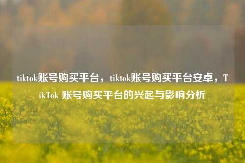 tiktok账号购买平台，tiktok账号购买平台安卓，TikTok 账号购买平台的兴起与影响分析