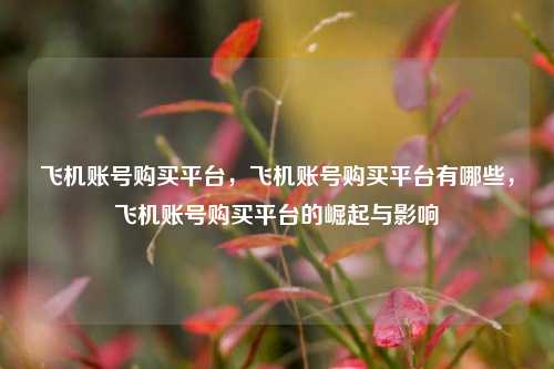 飞机账号购买平台	，飞机账号购买平台有哪些，飞机账号购买平台的崛起与影响  第1张