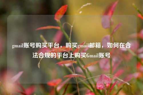 gmail账号购买平台	，购买gmail邮箱，如何在合法合规的平台上购买Gmail账号  第1张