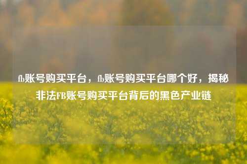 fb账号购买平台，fb账号购买平台哪个好，揭秘非法FB账号购买平台背后的黑色产业链