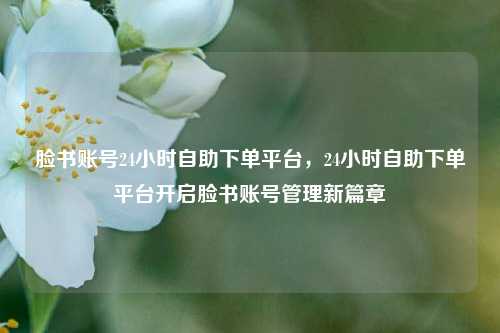 脸书账号24小时自助下单平台，24小时自助下单平台开启脸书账号管理新篇章