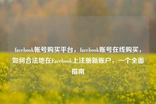 facebook帐号购买平台，facebook账号在线购买，如何合法地在Facebook上注册新账户，一个全面指南