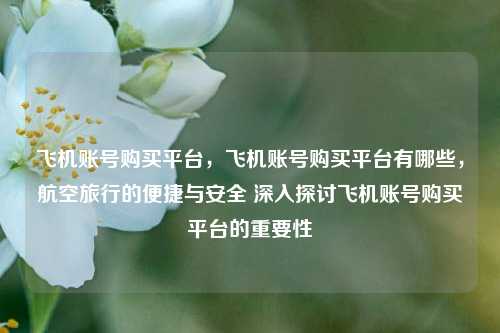 飞机账号购买平台，飞机账号购买平台有哪些，航空旅行的便捷与安全 深入探讨飞机账号购买平台的重要性