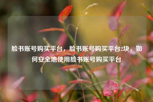 脸书账号购买平台，脸书账号购买平台2块，如何安全地使用脸书账号购买平台