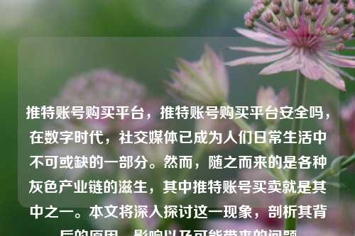 推特账号购买平台，推特账号购买平台安全吗，在数字时代，社交媒体已成为人们日常生活中不可或缺的一部分。然而，随之而来的是各种灰色产业链的滋生，其中推特账号买卖就是其中之一。本文将深入探讨这一现象，剖析其背后的原因、影响以及可能带来的问题