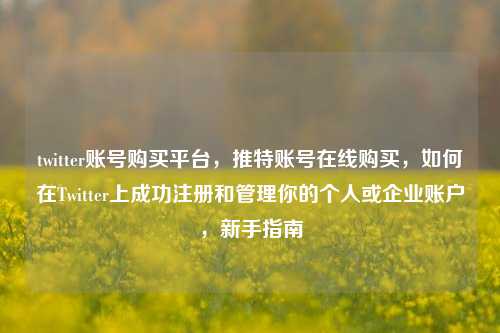 twitter账号购买平台，推特账号在线购买，如何在Twitter上成功注册和管理你的个人或企业账户，新手指南