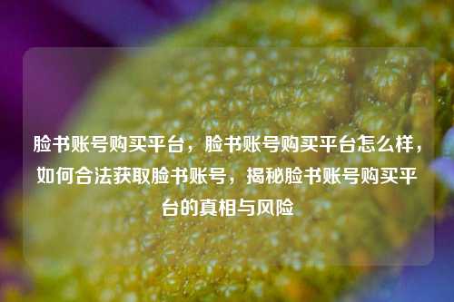 脸书账号购买平台，脸书账号购买平台怎么样，如何合法获取脸书账号，揭秘脸书账号购买平台的真相与风险