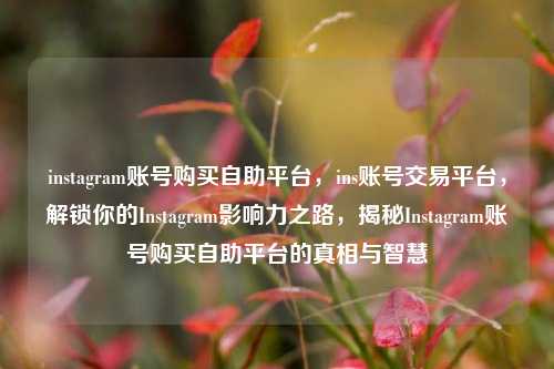 instagram账号购买自助平台，ins账号交易平台，解锁你的Instagram影响力之路	，揭秘Instagram账号购买自助平台的真相与智慧  第1张