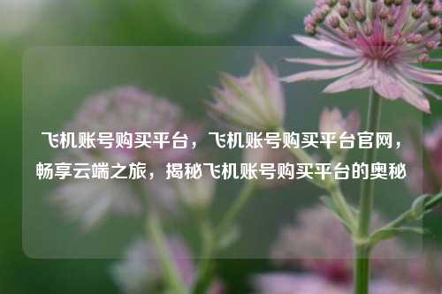 飞机账号购买平台，飞机账号购买平台官网，畅享云端之旅，揭秘飞机账号购买平台的奥秘