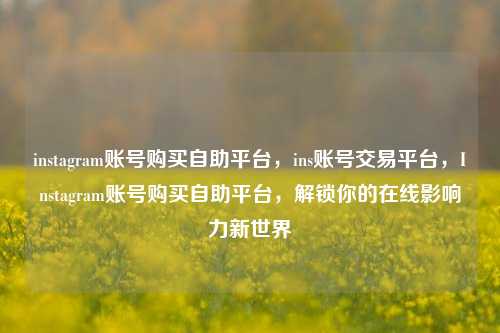 instagram账号购买自助平台，ins账号交易平台，Instagram账号购买自助平台，解锁你的在线影响力新世界