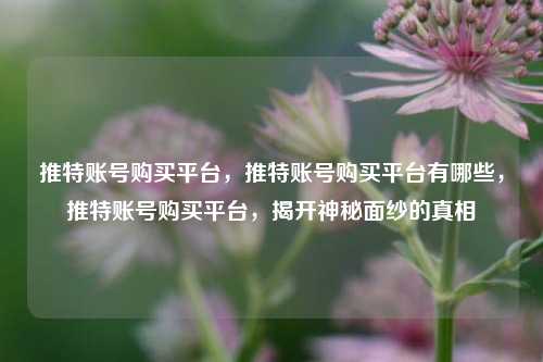 推特账号购买平台，推特账号购买平台有哪些，推特账号购买平台，揭开神秘面纱的真相