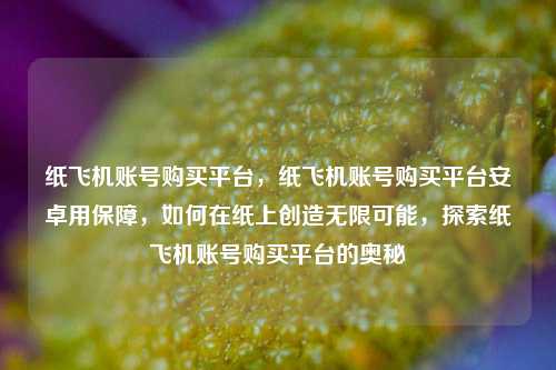 纸飞机账号购买平台，纸飞机账号购买平台安卓用保障，如何在纸上创造无限可能，探索纸飞机账号购买平台的奥秘