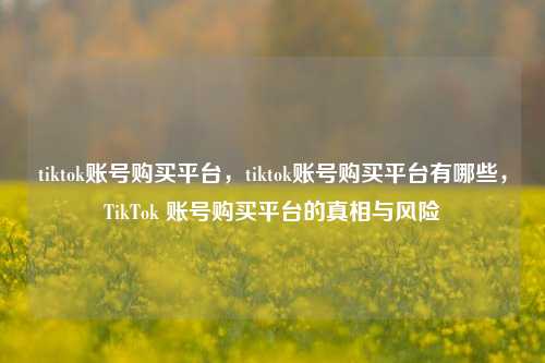 tiktok账号购买平台，tiktok账号购买平台有哪些，TikTok 账号购买平台的真相与风险