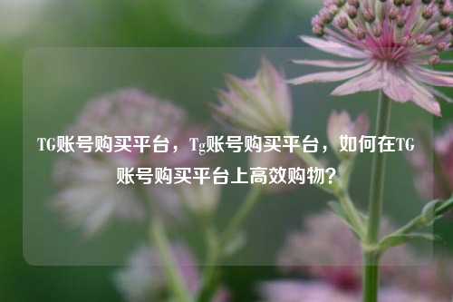 TG账号购买平台，Tg账号购买平台，如何在TG账号购买平台上高效购物？