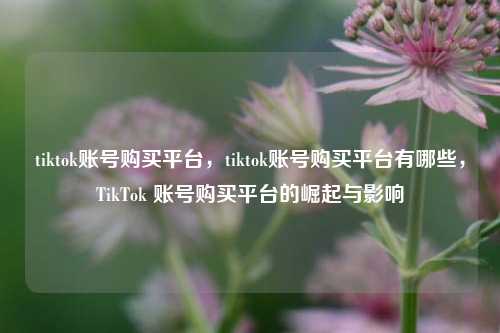 tiktok账号购买平台，tiktok账号购买平台有哪些，TikTok 账号购买平台的崛起与影响