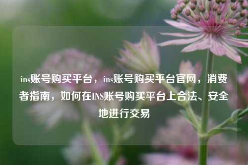 ins账号购买平台，ins账号购买平台官网，消费者指南，如何在INS账号购买平台上合法、安全地进行交易