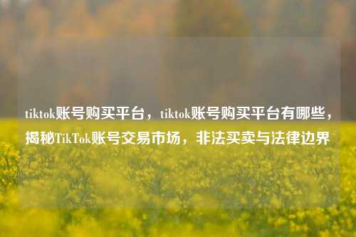 tiktok账号购买平台，tiktok账号购买平台有哪些	，揭秘TikTok账号交易市场，非法买卖与法律边界  第1张