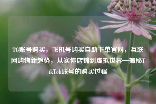 TG账号购买，飞机号购买自助下单官网，互联网购物新趋势，从实体店铺到虚拟世界—揭秘TikTok账号的购买过程