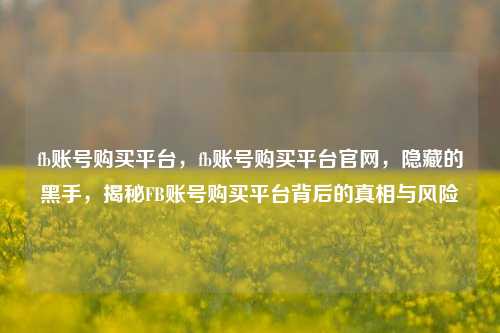 fb账号购买平台，fb账号购买平台官网，隐藏的黑手，揭秘FB账号购买平台背后的真相与风险