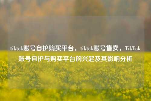 tiktok账号自护购买平台，tiktok账号售卖，TikTok账号自护与购买平台的兴起及其影响分析