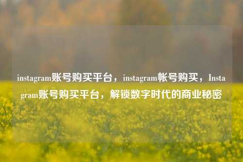instagram账号购买平台，instagram帐号购买，Instagram账号购买平台，解锁数字时代的商业秘密