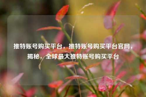 推特账号购买平台，推特账号购买平台官网，揭秘	，全球最大推特账号购买平台  第1张
