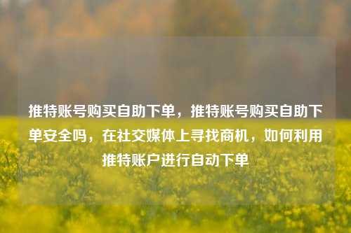 推特账号购买自助下单，推特账号购买自助下单安全吗，在社交媒体上寻找商机，如何利用推特账户进行自动下单