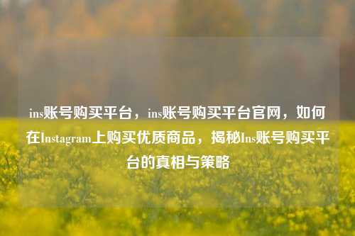 ins账号购买平台，ins账号购买平台官网，如何在Instagram上购买优质商品，揭秘Ins账号购买平台的真相与策略