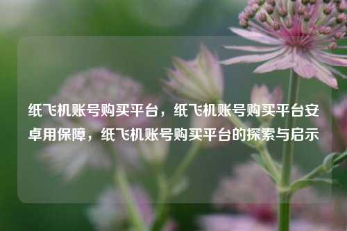 纸飞机账号购买平台，纸飞机账号购买平台安卓用保障，纸飞机账号购买平台的探索与启示
