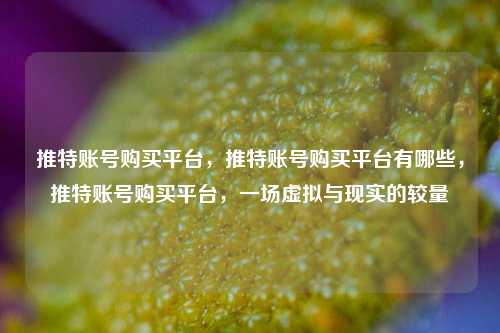 推特账号购买平台，推特账号购买平台有哪些，推特账号购买平台，一场虚拟与现实的较量