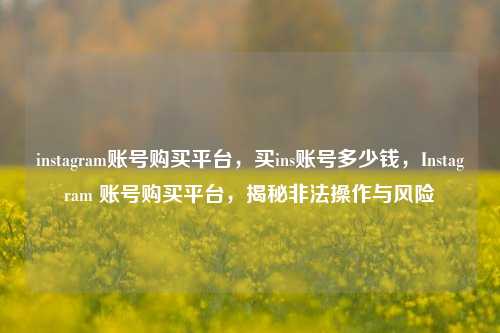 instagram账号购买平台，买ins账号多少钱，Instagram 账号购买平台，揭秘非法操作与风险