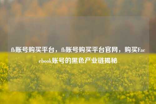 fb账号购买平台，fb账号购买平台官网，购买Facebook账号的黑色产业链揭秘