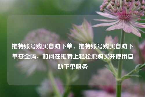 推特账号购买自助下单，推特账号购买自助下单安全吗，如何在推特上轻松地购买并使用自助下单服务