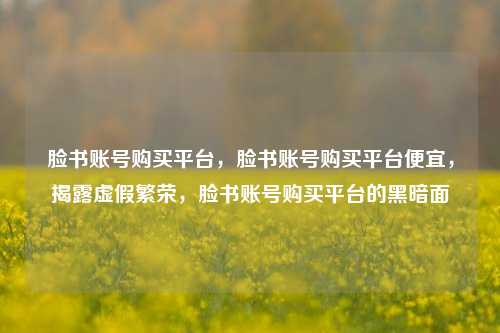 脸书账号购买平台，脸书账号购买平台便宜，揭露虚假繁荣，脸书账号购买平台的黑暗面