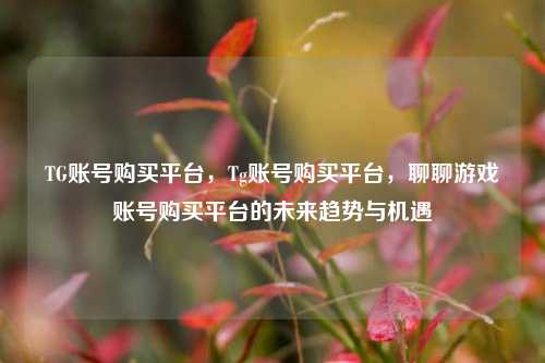 TG账号购买平台，Tg账号购买平台，聊聊游戏账号购买平台的未来趋势与机遇
