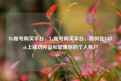 TG账号购买平台，Tg账号购买平台，如何在TikTok上成功开设和管理你的个人账户