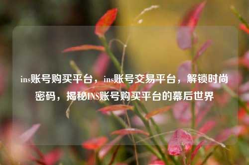 ins账号购买平台，ins账号交易平台，解锁时尚密码	，揭秘INS账号购买平台的幕后世界  第1张
