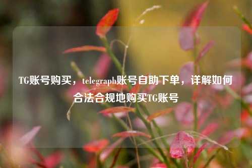 TG账号购买，telegraph账号自助下单，详解如何合法合规地购买TG账号