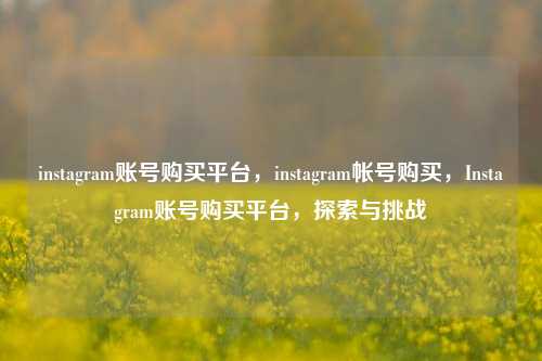 instagram账号购买平台，instagram帐号购买，Instagram账号购买平台，探索与挑战
