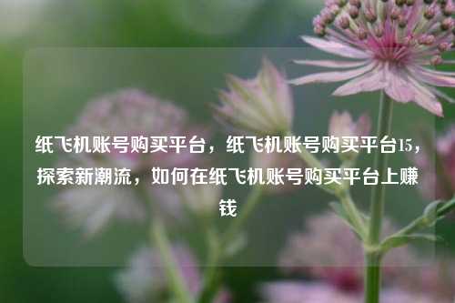 纸飞机账号购买平台，纸飞机账号购买平台15，探索新潮流，如何在纸飞机账号购买平台上赚钱