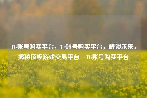 TG账号购买平台，Tg账号购买平台，解锁未来，揭秘顶级游戏交易平台—TG账号购买平台