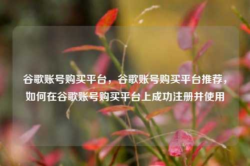 谷歌账号购买平台，谷歌账号购买平台推荐，如何在谷歌账号购买平台上成功注册并使用