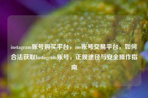 instagram账号购买平台，ins账号交易平台，如何合法获取Instagram账号，正规途径与安全操作指南