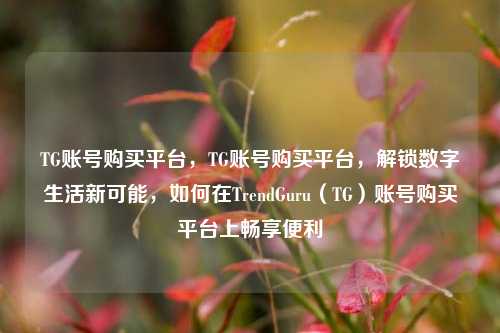 TG账号购买平台，TG账号购买平台，解锁数字生活新可能，如何在TrendGuru（TG）账号购买平台上畅享便利