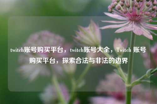 twitch账号购买平台，twitch账号大全，Twitch 账号购买平台，探索合法与非法的边界