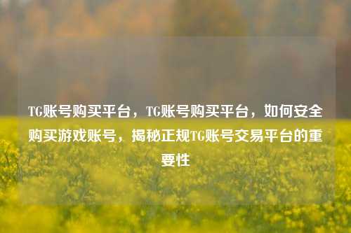 TG账号购买平台，TG账号购买平台，如何安全购买游戏账号，揭秘正规TG账号交易平台的重要性