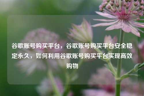 谷歌账号购买平台，谷歌账号购买平台安全稳定永久，如何利用谷歌账号购买平台实现高效购物